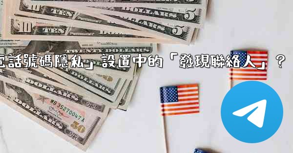 在Telegram使用中，什麼是「電話號碼隱私」設置中的「發現聯絡人」？