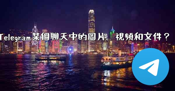 <b>如何只查看Telegram某個聊天中的圖片、視頻和文件？</b>