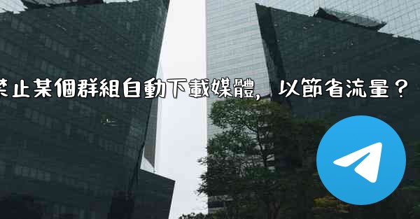 Telegram如何禁止某個群組自動下載媒體，以節省流量？