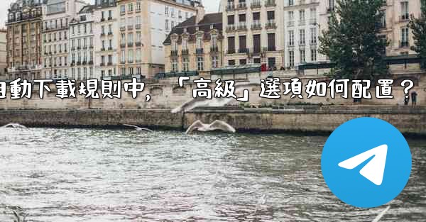 Telegram媒體自動下載規則中，「高級」選項如何配置？