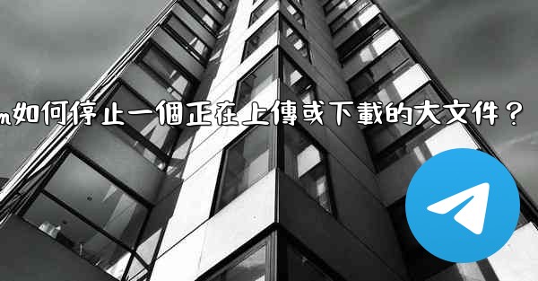 Telegram如何停止一個正在上傳或下載的大文件？