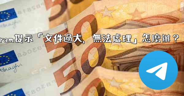 Telegram提示「文件過大，無法處理」怎麼辦？