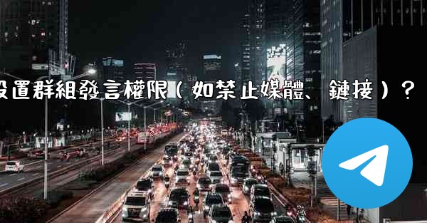 <b>Telegram如何設置群組發言權限（如禁止媒體、鏈接）？</b>