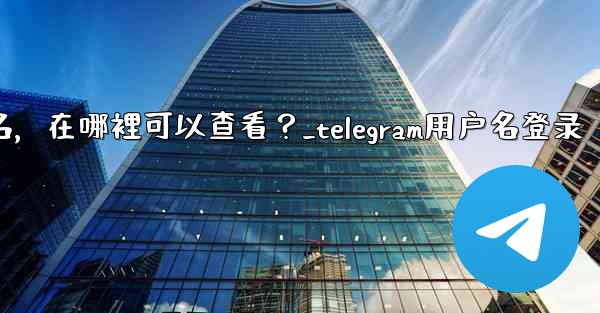 我忘記了Telegram用戶名，在哪裡可以查看？_telegram用户名登录