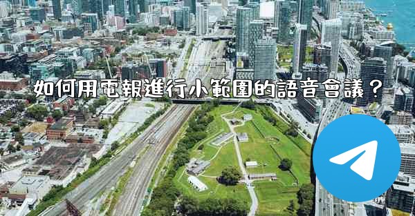 如何用電報進行小範圍的語音會議？