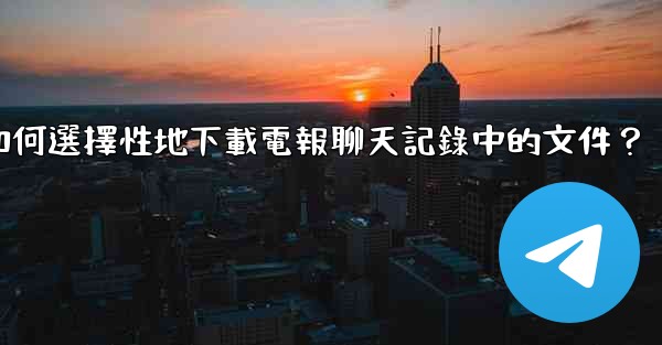 如何選擇性地下載電報聊天記錄中的文件？