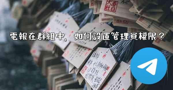 電報在群組中，如何設置管理員權限？