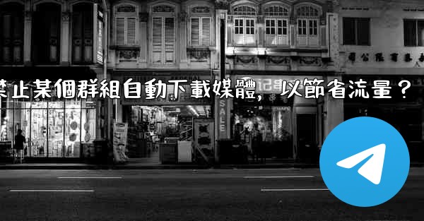電報如何禁止某個群組自動下載媒體，以節省流量？