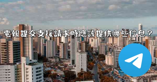 <b>電報提交支援請求時應該提供哪些信息？</b>