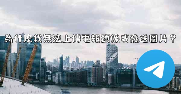 <b>為什麼我無法上傳電報頭像或發送圖片？</b>