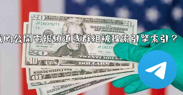 <b>如何防止我的公開電報頻道或群組被搜索引擎索引？</b>