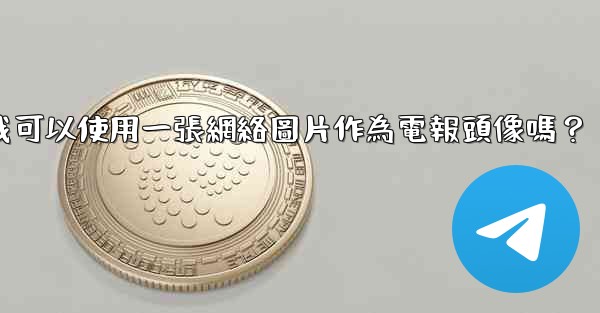 我可以使用一張網絡圖片作為電報頭像嗎？