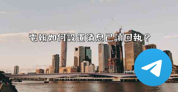 電報如何設置消息已讀回執？