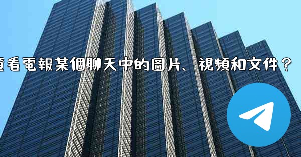 如何只查看電報某個聊天中的圖片、視頻和文件？