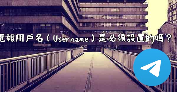 電報用戶名（Username）是必須設置的嗎？