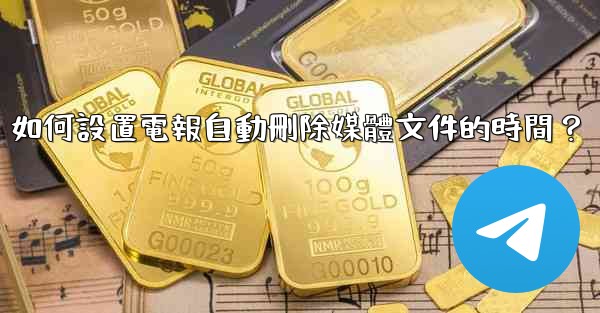 如何設置電報自動刪除媒體文件的時間？