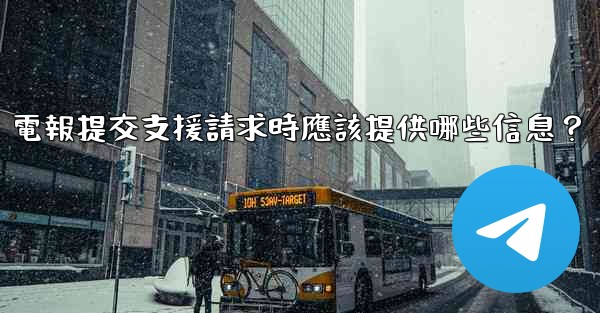 電報提交支援請求時應該提供哪些信息？