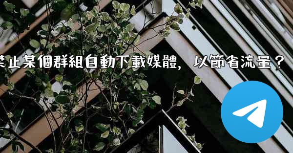 電報如何禁止某個群組自動下載媒體，以節省流量？