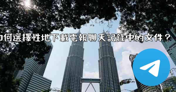 如何選擇性地下載電報聊天記錄中的文件？