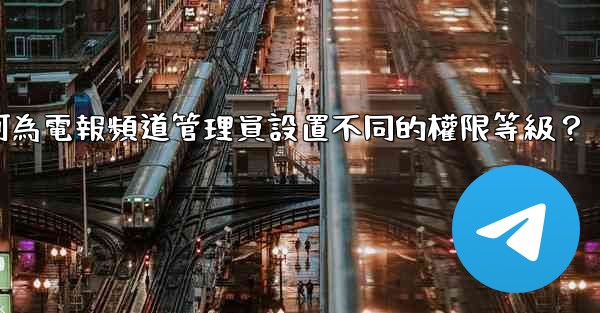 如何為電報頻道管理員設置不同的權限等級？