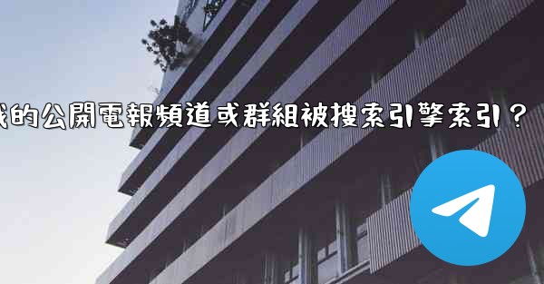 如何防止我的公開電報頻道或群組被搜索引擎索引？