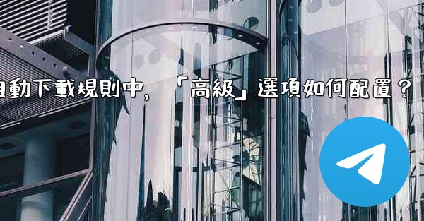 電報媒體自動下載規則中，「高級」選項如何配置？