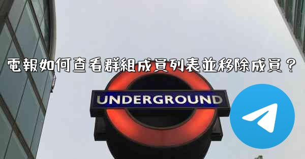 電報如何查看群組成員列表並移除成員？