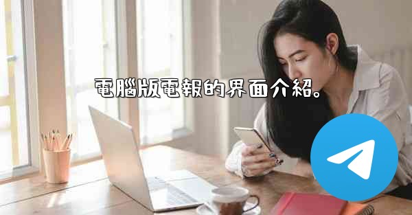 電腦版電報的界面介紹。